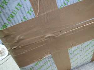 底面 固定